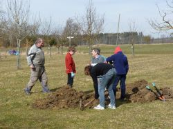 Baumschnittaktion  2010 03